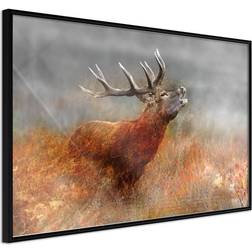 Arkiio Affisch Roaring Deer [Poster] 60x40 Poster